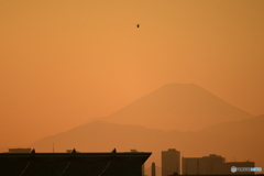 羽田から観る富士山とヘリコプター