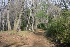 長沼公園散歩