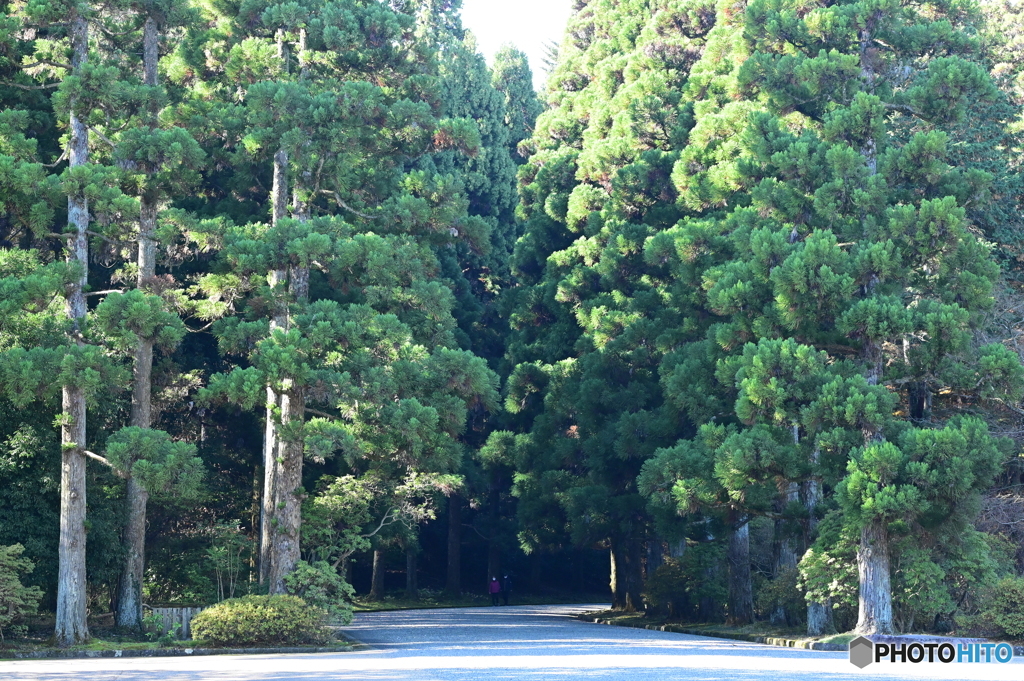 天皇陵参道