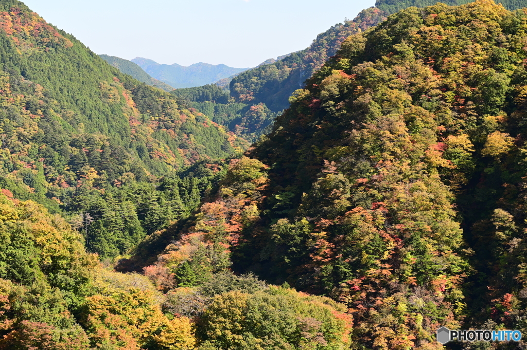 ダムから遠方望む