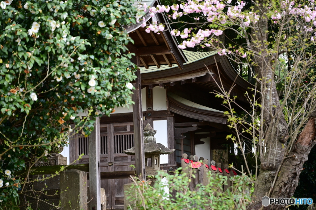 春のお地蔵様４