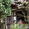 春のお地蔵様４