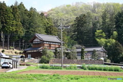 里山の春