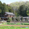 里山の春