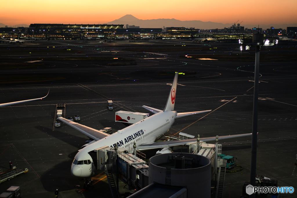 夕刻の羽田駐機