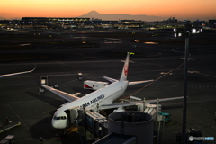 夕刻の羽田駐機