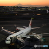夕刻の羽田駐機