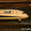 ANA間もなくゲート到着