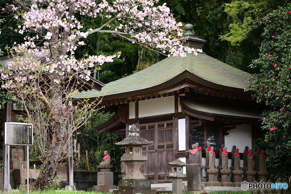 春のお地蔵様２