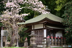 春のお地蔵様２