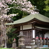 春のお地蔵様２