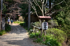 野猿峠の焼き鳥店