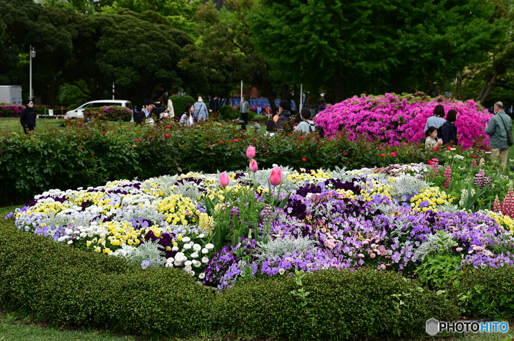 花の造形２