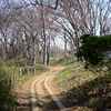 長沼公園の尾根道