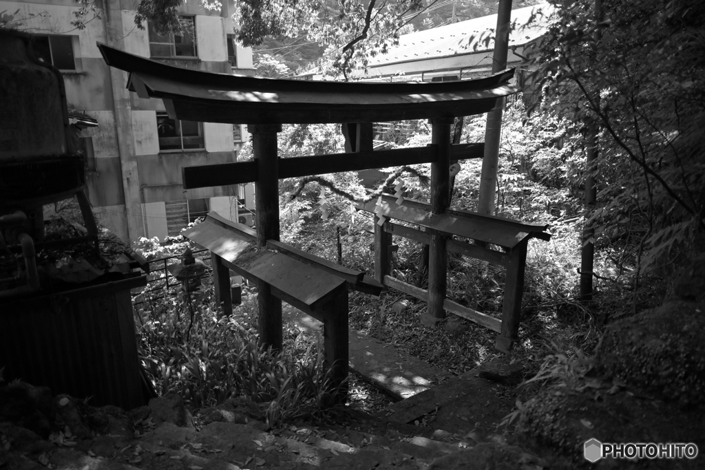 熊野権現神社の鳥居