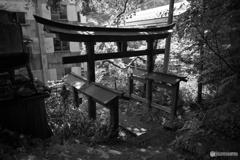 熊野権現神社の鳥居