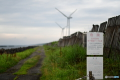 胎内の風力発電所