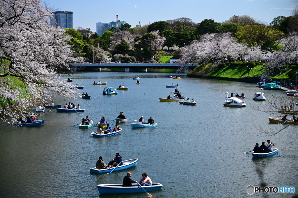千鳥ヶ淵のボート