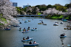 千鳥ヶ淵のボート