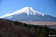 二重曲峠からの富士山