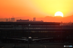 紅く染まる羽田空港