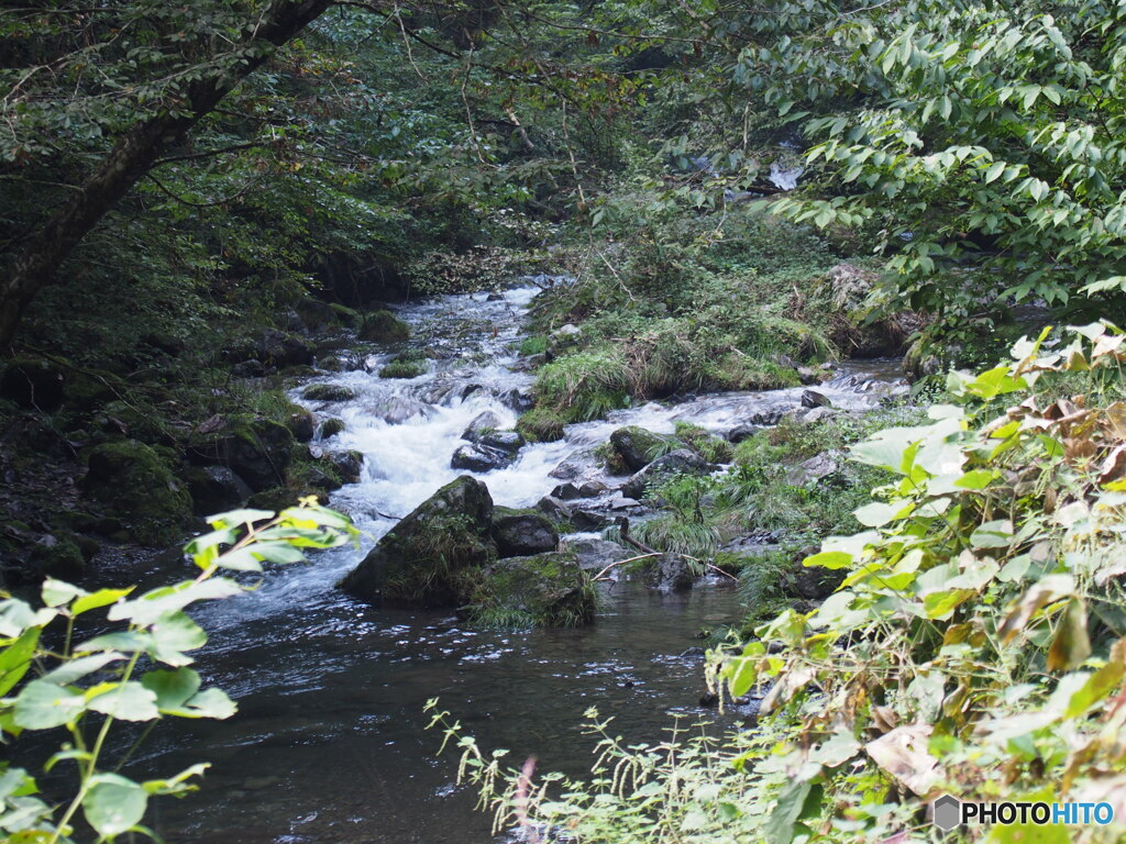 神戸岩の川