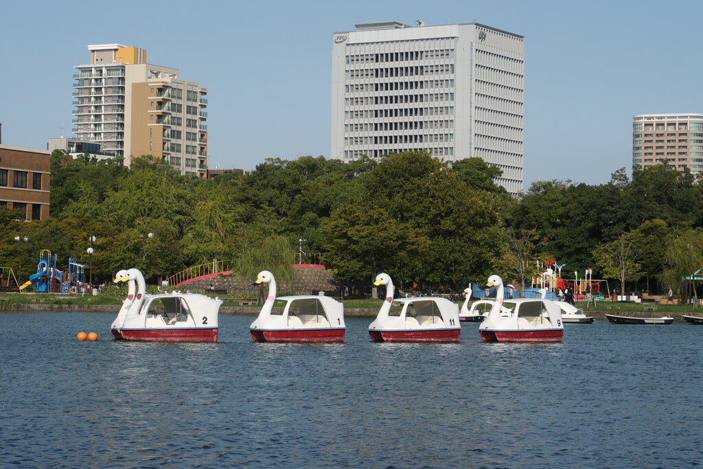 大濠公園_05