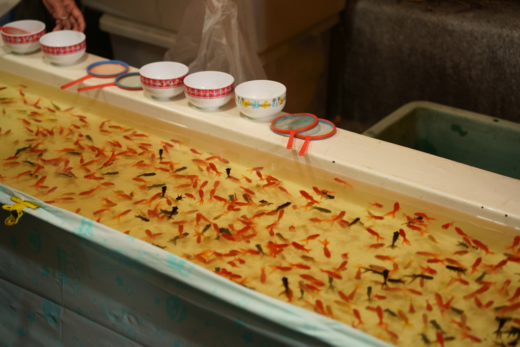 伊万里トンテントン祭り_02
