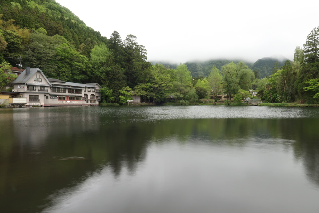 金鱗湖