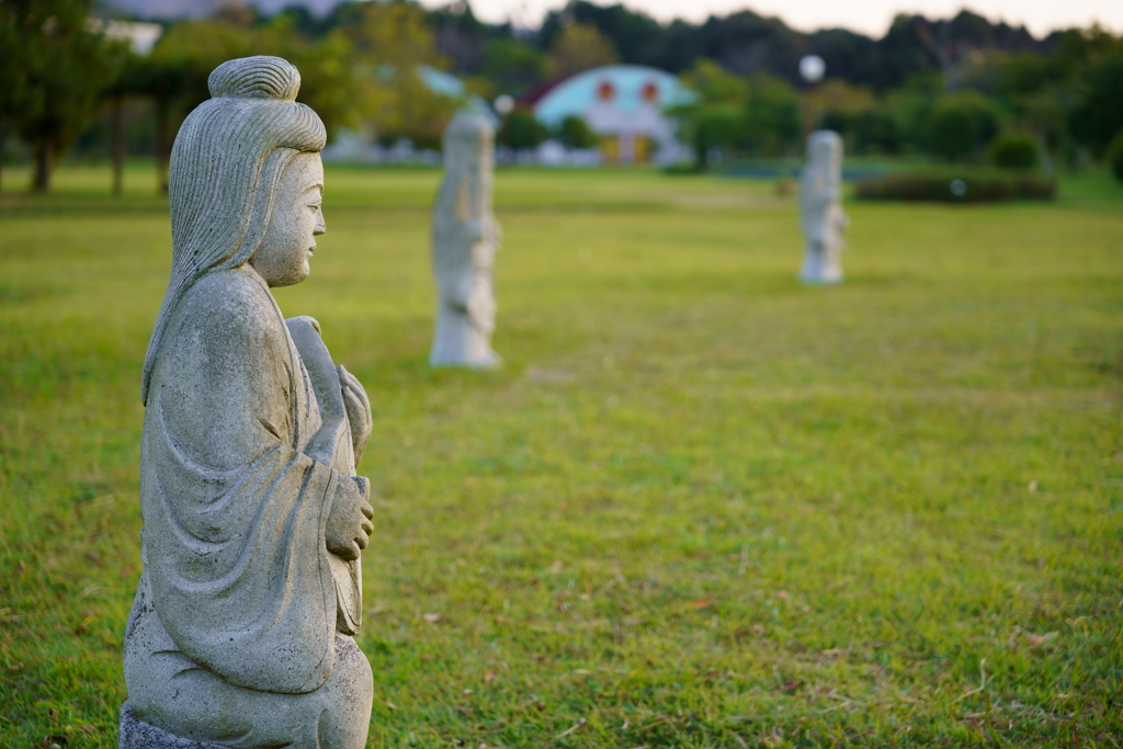 歴史と文化の森公園_03