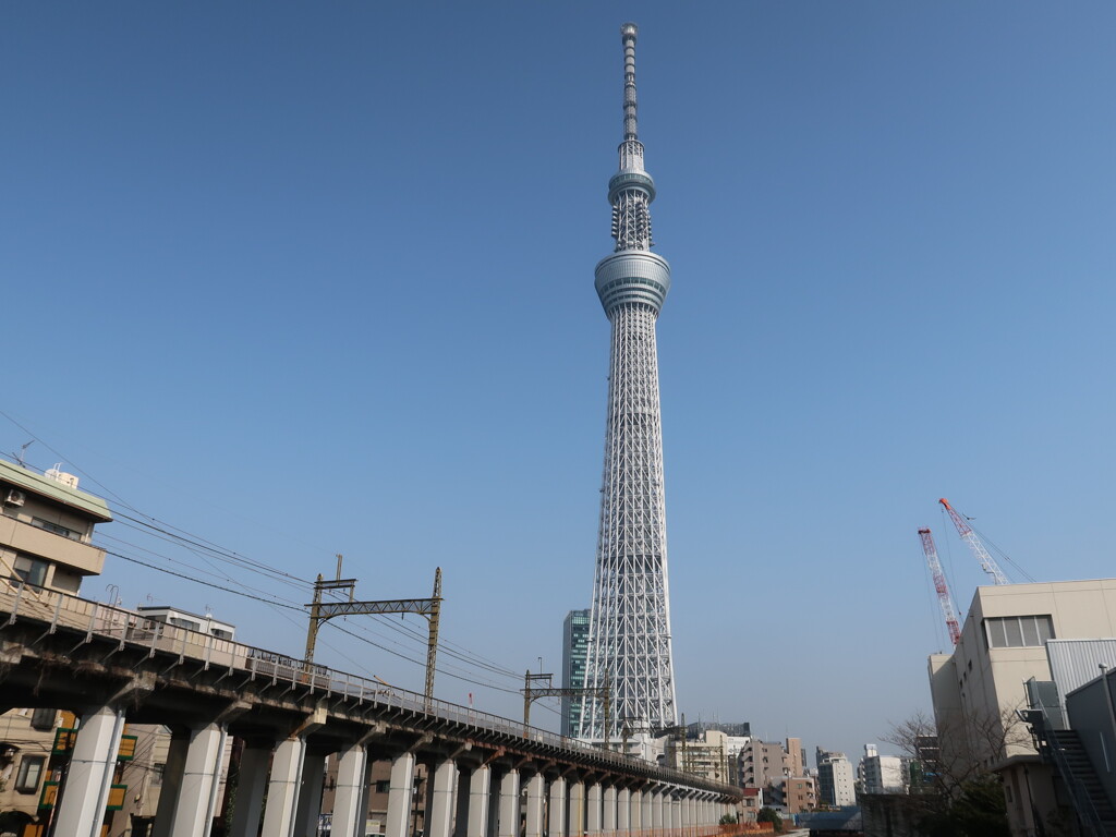 スカイツリー_01