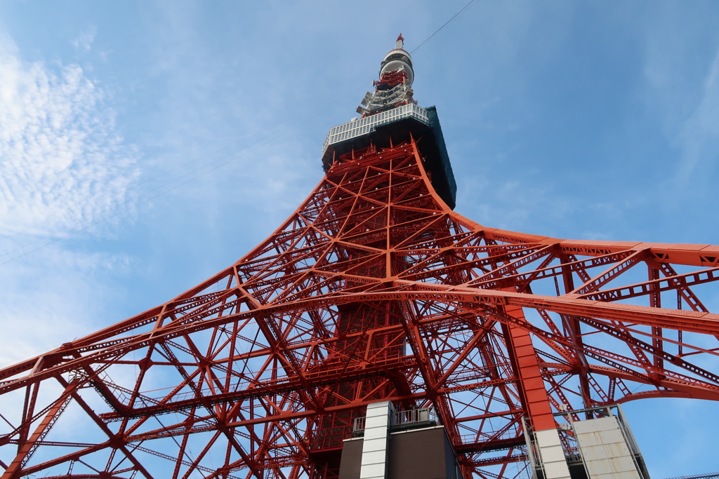 東京タワー_01