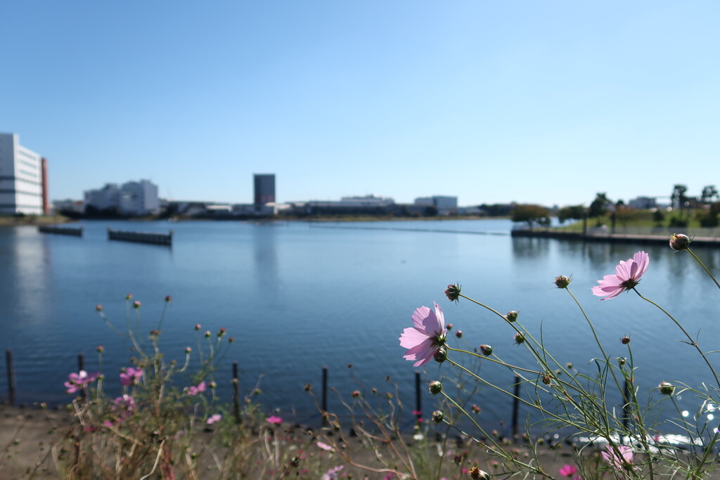 大森ふるさとの浜辺公園_05