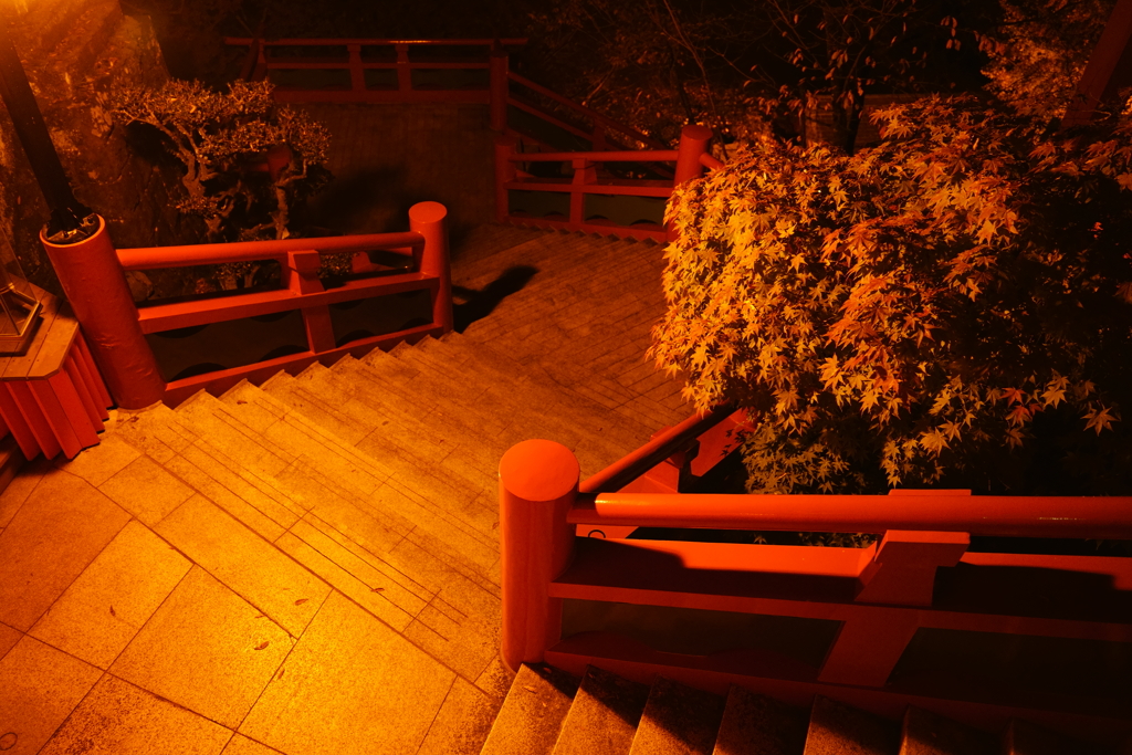祐徳稲荷神社_03