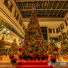 #172 Xmas tree 2024