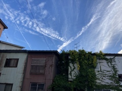侵蝕