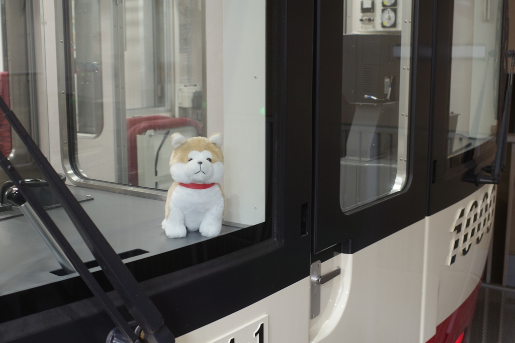 京急と秋田犬