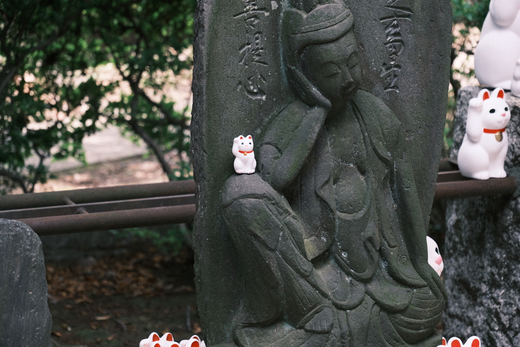 豪徳寺