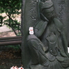 豪徳寺