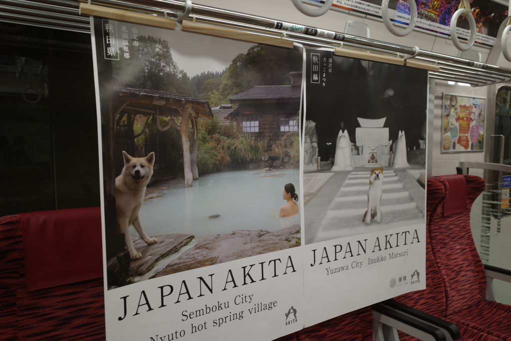 京急と秋田