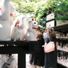 豪徳寺