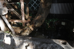 深大寺で蕎麦