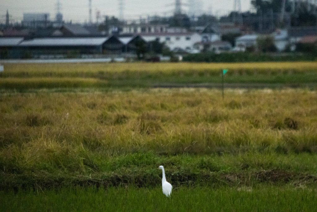 20221012郊外の風景