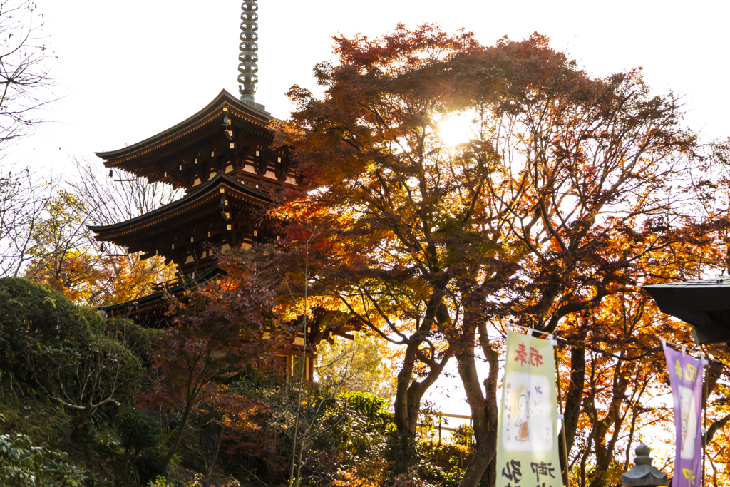 20221127 明日香岡寺三重塔
