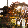 20221127 明日香岡寺三重塔