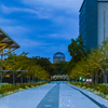 20230922 中央公園の朝