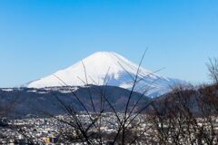 20230226 弘法山公園からの富士山