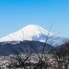 20230226 弘法山公園からの富士山