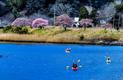 20240211 早春 青野川の風景