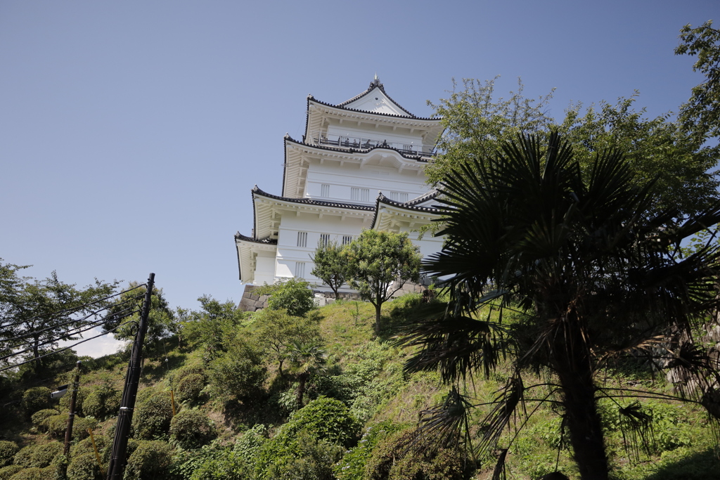 20220723夏の小田原城